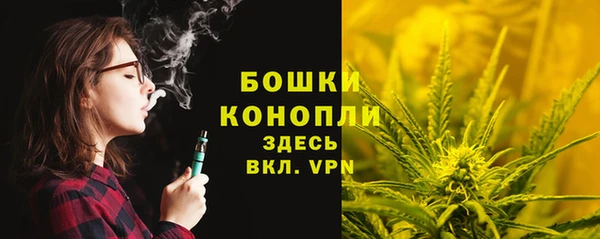 прущая мука Вяземский
