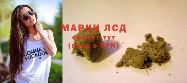 ПСИЛОЦИБИНОВЫЕ ГРИБЫ Михайлов