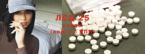 прущая мука Вяземский