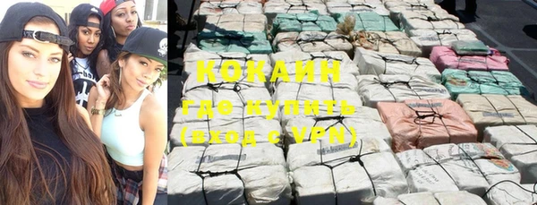 прущая мука Вяземский